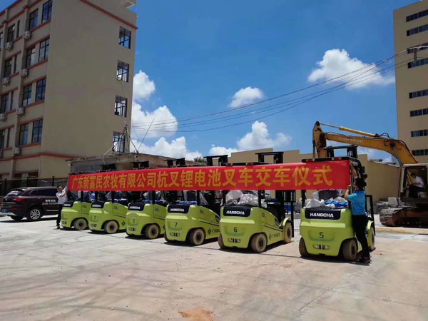 广东新富民农牧有限公司采购杭州叉车案例-电动锂电池叉车